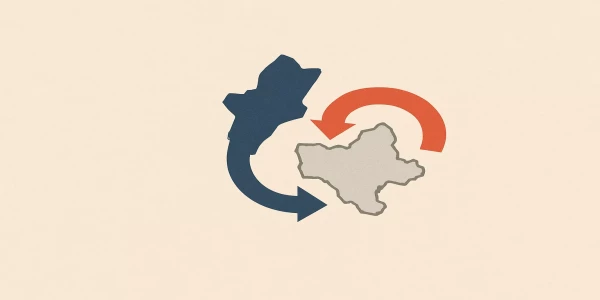 Impact of investment incentives due to the reorganization of administrative units (i.e. the planned consolidation of cities and provinces)